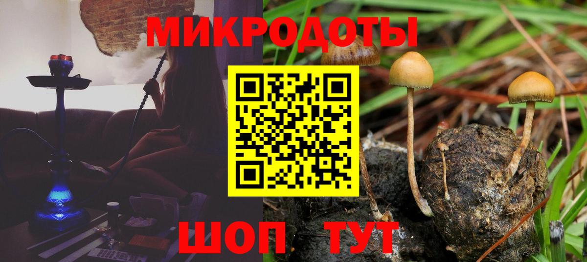 Галлюциногенные грибы мухоморы Йошкар-Ола