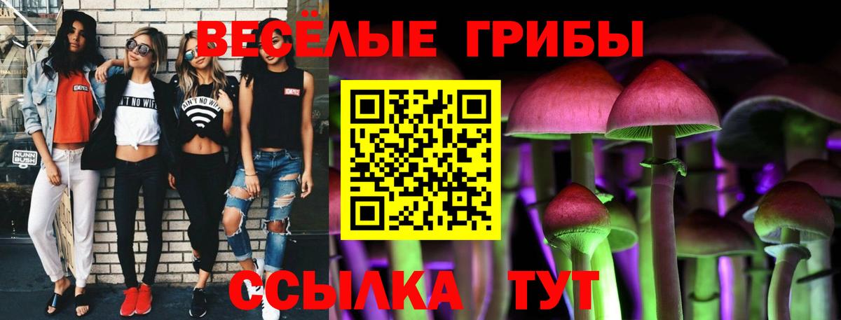 Йошкар-Ола  Псилоцибиновые грибы Psilocybine cubensis  Вход с VPN 
