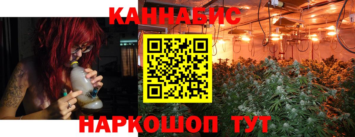 Шишки марихуана конопля Йошкар-Ола
